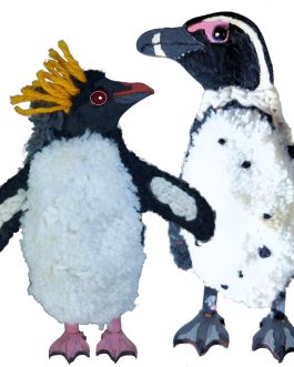 Woollen Craft Projects